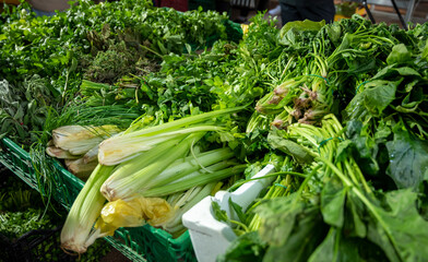 Fresh green kitchen herbs, lettuce on Noailles street market, old central part of Marseille, Provence, France