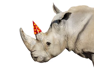 Zelfklevend Fotobehang Rhinoceros head portrait wear party cap on the horn © Sergey Novikov