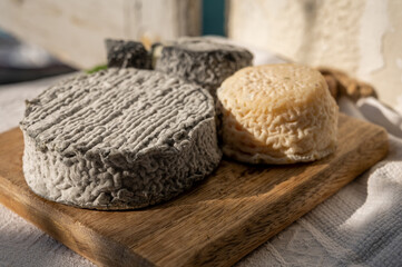 French goat cheeses crottin and selles-sur-cher served with view on boats in harbor of Cassis, Provence, France