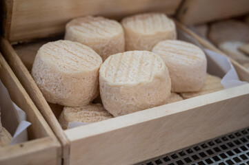 French goat cheese crottin on farmers market in Cassis, Provence, France