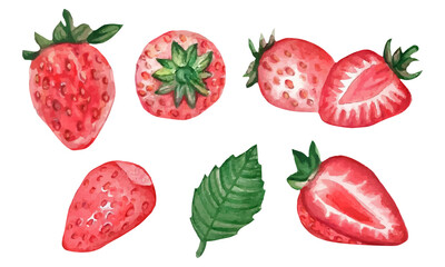 Set of watercolor strawberries, whole berries and cut. Vector illustration