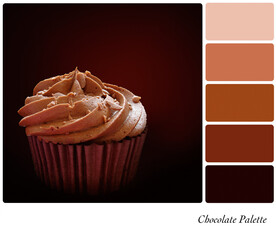Chocolate cupcake in a colour palette with complimentary colour swatches