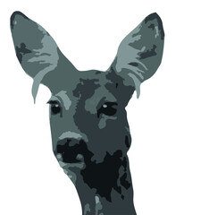 a vector of a deers head