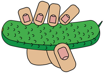 Hand holding cucumber, isolated on white background in cartoon style in vector graphic