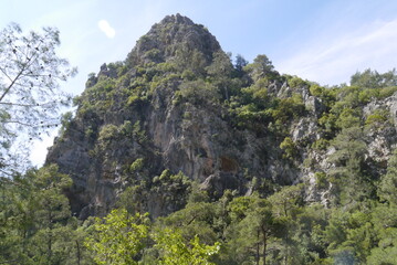 Fototapeta na wymiar Scenic view on the mountain and forest in Goynuk Canyon, Turkey
