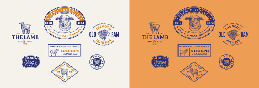 Sheep Farm Retro Framed Badges or Logo Templates Collection. Hand Drawn Lamb, Ram and Sheep Face Animals Sketches with Retro Typography. Vintage Sketch Emblems Set Isolated