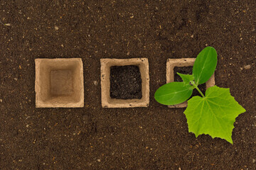 organic growing pots with soil and plant empty gardening