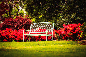 Metal outdoor bench sits on green lawn with azeleas and trees behind - shallow focus on bench -...