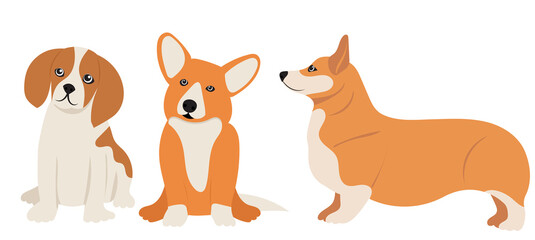 small dogs in flat design, isolated vector