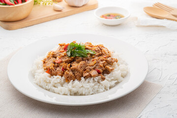 Stir Fried Canned Tuna with Thai Basil and Cook Jasmine Rice in white plate.asian food