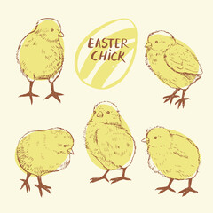 Easter chick egg vector illustrations set