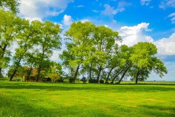 Fototapeta na wymiar North German agricultural nature landscape panorama Germany.