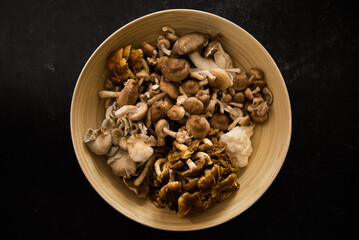 Mixture of wild lion's mane, oyster, cinnamon cap and shiitake mushrooms in bamboo bowl on dark black background.
