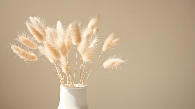 The movement of golden spikelets in the wind. Sunlight soft light and shadows from the transparent curtain, tulle. Space for text. Product presentation, mockup for advertising. High quality 4k footage