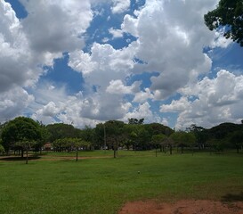 clouds and park