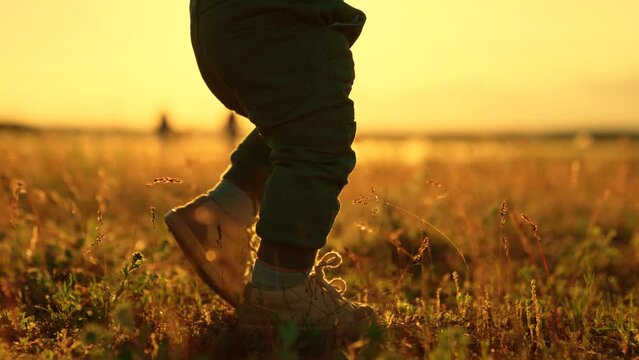 Babys Legs Are Walking On Grass In Park At Sunset. Cute Baby Walks With Mom On Lawn In Sun. Baby Learns To Walk With Dad, Holding Boys Hand. Mother Supports Child Taking First Steps In Park, Holding