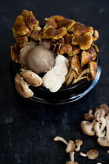 Mix of wild mushrooms spilling out onto dark background. Top view with mushrooms spilling out of bowl.