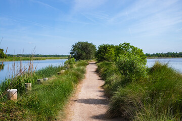 Beautiful nature preserve in Charleston, South Carolina