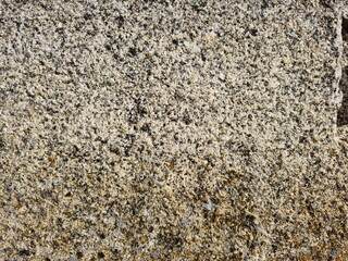 stone wall texture