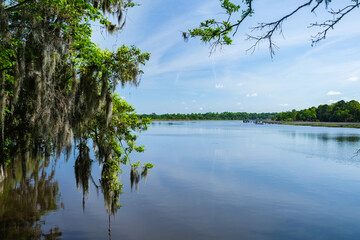 Beautiful nature preserve in Charleston, South Carolina