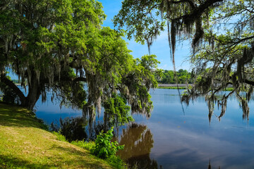 Naklejka premium Beautiful nature preserve in Charleston, South Carolina