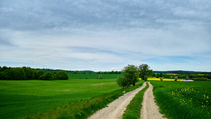 An idyllic springtime rural landscape. A sandy road stretches to the horizon among fresh green fields and forests under a slightly cloudy blue sky.