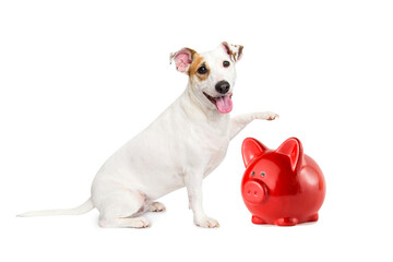 The dog puts money in the piggy bank