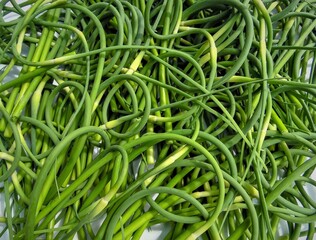 green arrows of garlic on a light background