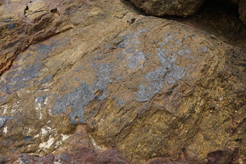 Rough cassiterite metallic ore of tin stuck on the rock. Natural mineral from geological.
