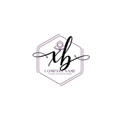 XB signature logo template vector