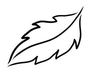 ISOLATED ON A WHITE BACKGROUND CONTOUR DRAWING OF A PLANT LEAF