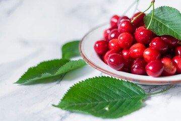freshly picked cherries in metal plate