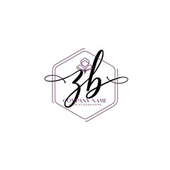 ZB signature logo template vector