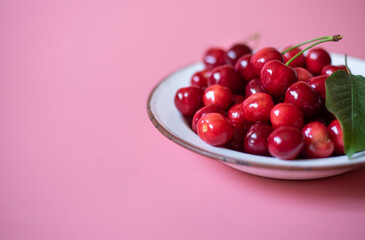 freshly picked cherries in metal plate on pink background
