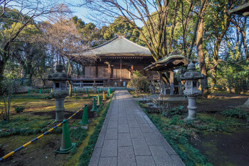 国分寺仁王門　市重要有形文化財　仁王門　国分寺
