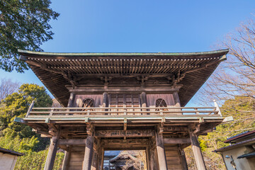 国分寺楼門　国分寺　楼門　寺　門　江戸時代