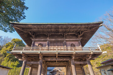 国分寺楼門　国分寺　楼門　寺　門　江戸時代