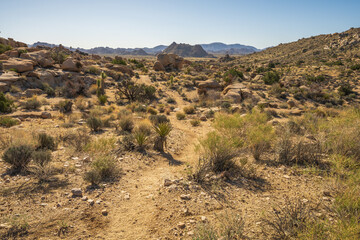 hiking the maze loop in joshua tree national park, california, usa