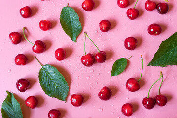 Fresh and delicious cherries on pink background