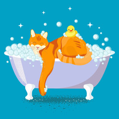 Cartoon style illustration of cute ginger cat taking a bath. Yellow rubber duck in bathtub. Grooming concept.