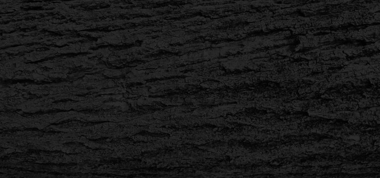 black bark background of a big tree in the forest with relief. burnt texture of tree bark horizontal image. wooden texture background. dark material made from coal or charcoal (focused at center).