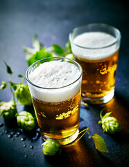 Two glasses of cold beer and fresh hops on black background. Copy space