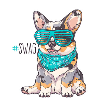 Portrait of the funny Corgi dog with turquoise glasses and bandana. Hashtag Swag - lettering quote. Cute dog puppy for posters, postcards, t-shirt prints. Vector hand drawn style illustration.