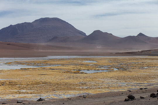 Deserto