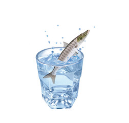 barracuda , poisson, évasion, eau, en verre, boire, isolé, liquide, clapoter, froid, blanc, abattre, frais, bleu, éclaboussure, verser, bouillonner, sain, clair, transparent, fraîcheur, humide, glace