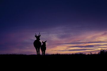 Always better together