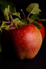Red Apple Close Up 