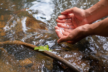 Hands drawing fresh, pure water from the spring. Delicious drinking water from the mountains in...