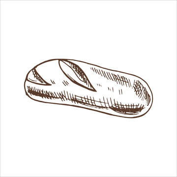 Vector hand drawn illustration of loaf of bread. Brown and white drawing isolated on white background. Sketch icon and bakery element for print, web, mobile and infographics.