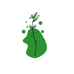 Minimalist hand drawn plants